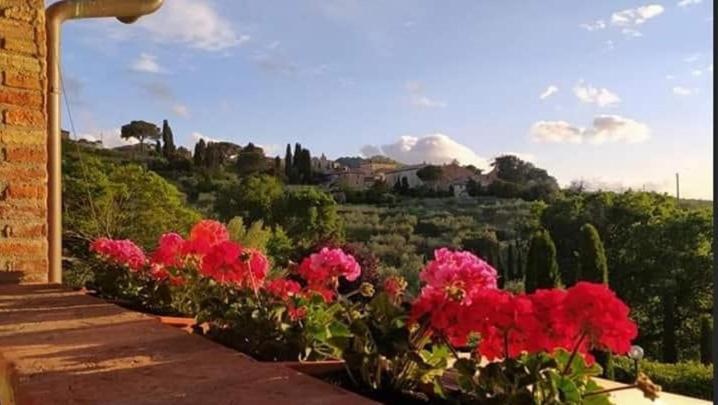 Leonaerdo Guests House Panicale Exterior foto